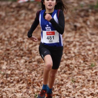 Roscher Erfolge bei Crosslauf Landesmeisterschaft